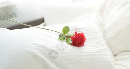 床头放白色玫瑰花的寓意是什么？
