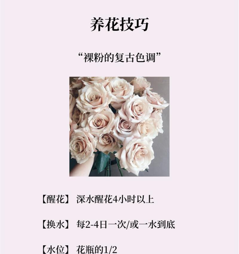 自由记忆的花语代表什么？