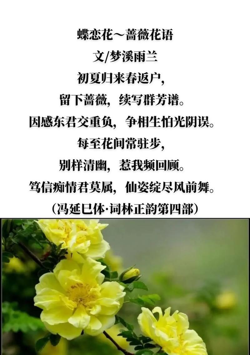 哪种花语具有鼓励意义？
