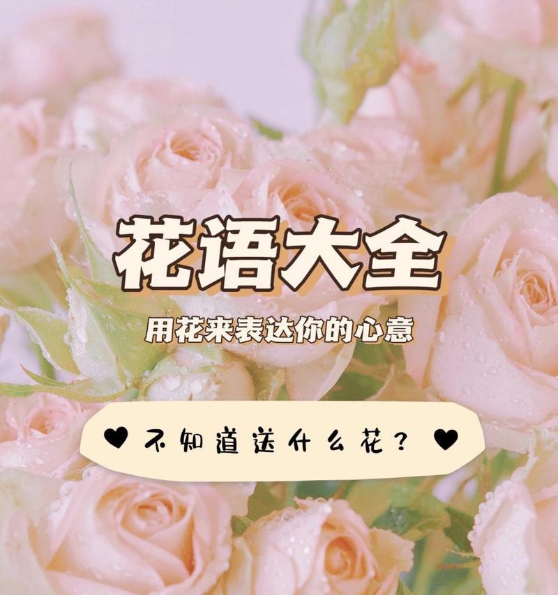 跨年夜选择花束时应考虑哪些花语？