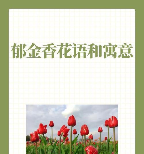 海边的花语有哪些浪漫含义？它们代表了什么？