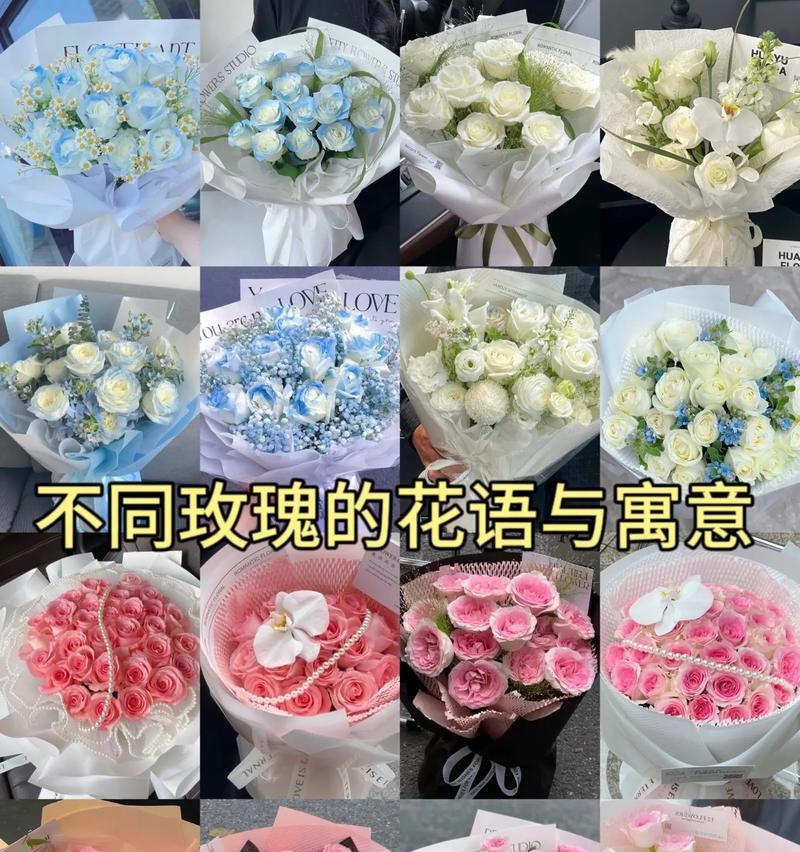 小雏菊与玫瑰花搭配的花语是什么？它们共同表达什么？