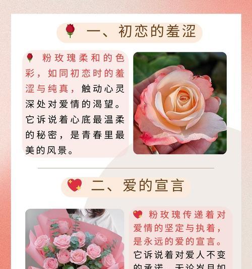 道具花语示爱是什么意思？它表达的情感有哪些？