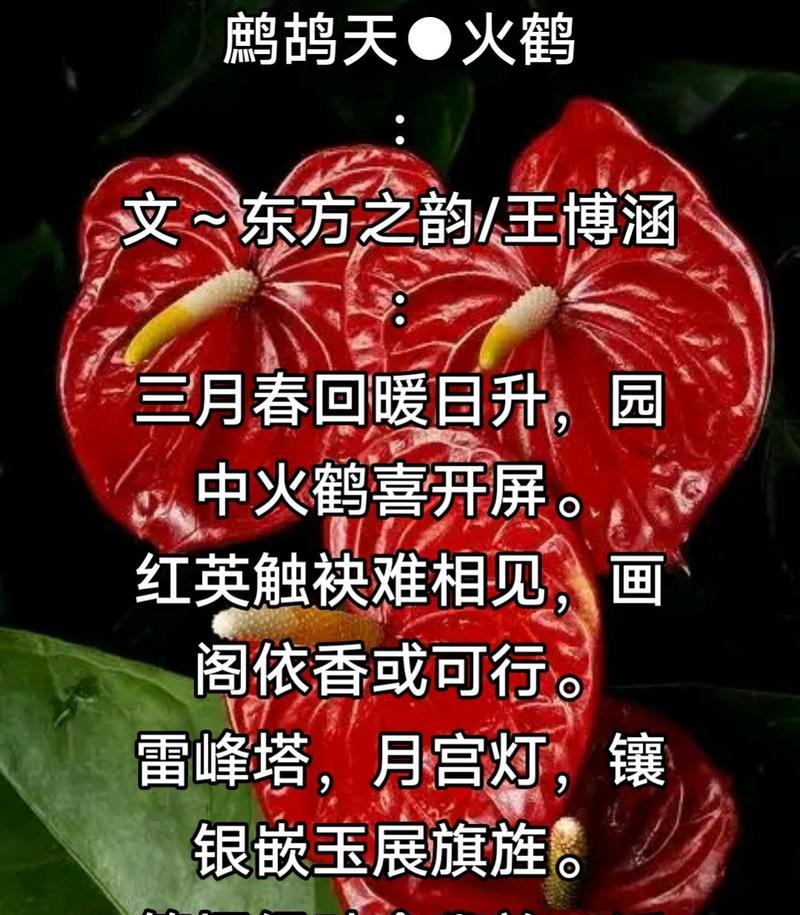 春桃玉花的花语代表什么？