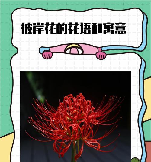 白檀花的寓意和花语有何含义？