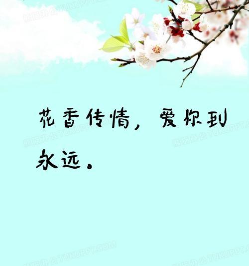 朋友送花的花语代表什么特别情感？