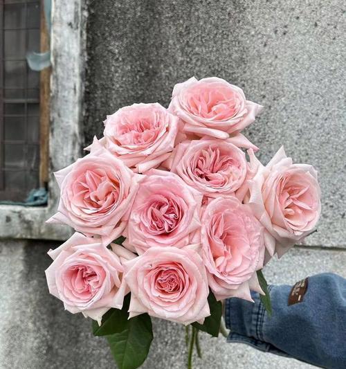 荔枝玫瑰花5朵代表什么？