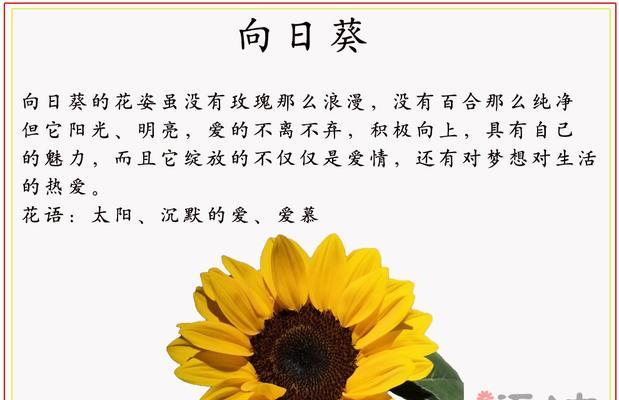 送友人花的花语是什么？送花给朋友时应该注意的花语含义是什么？