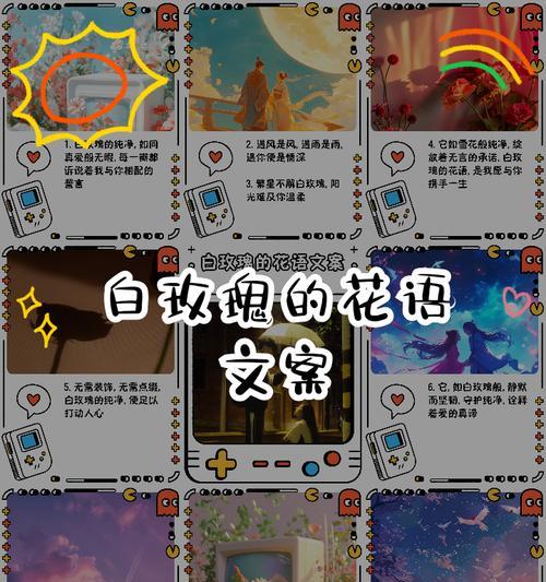 白玫瑰的花语是什么？白玫瑰花名有何寓意？