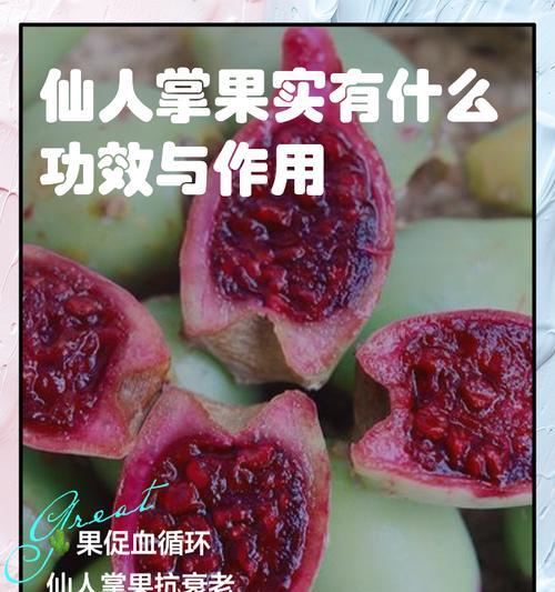 梨果仙人掌如何促进结果？
