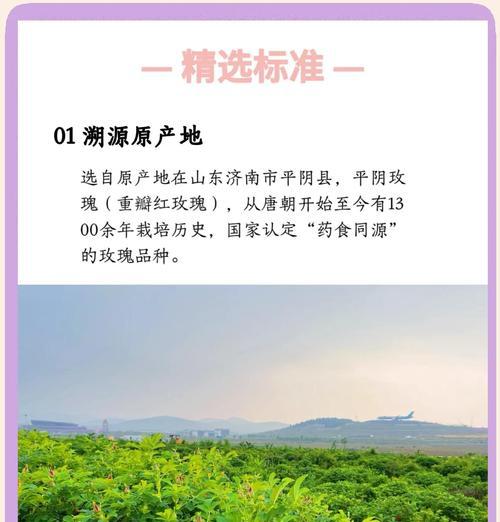 沭阳地区种植玫瑰花需要多少亩地？