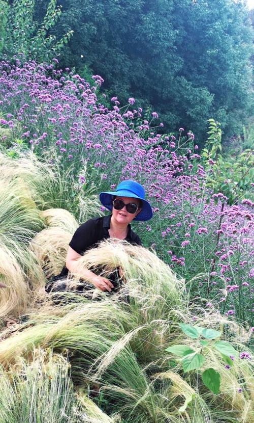 徒步时如何照顾玫瑰花？最佳养护方法是什么？