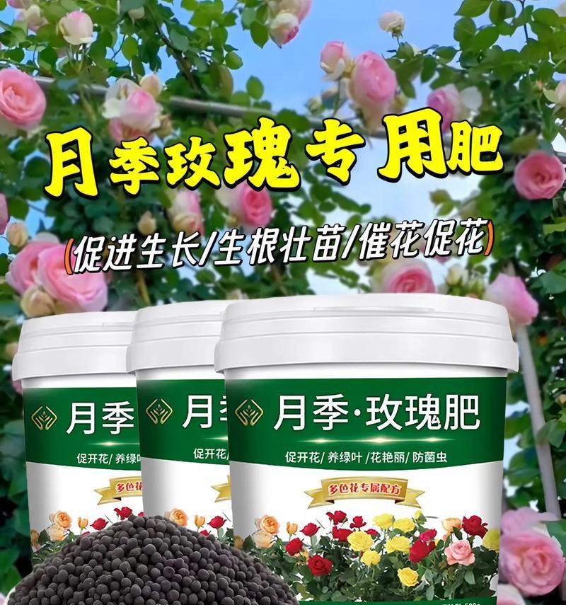 玫瑰花浇水时使用什么肥料能促进爆芽？最佳肥料是什么？