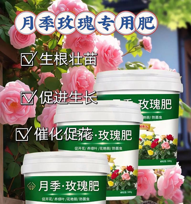 玫瑰花浇水时使用什么肥料能促进爆芽？最佳肥料是什么？