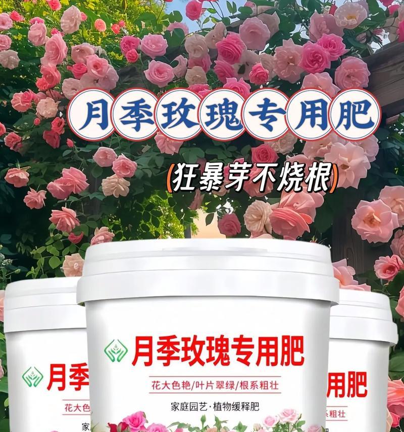 玫瑰花浇水时使用什么肥料能促进爆芽？最佳肥料是什么？