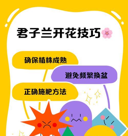 君子兰群兰开花的条件和养护方法是什么？