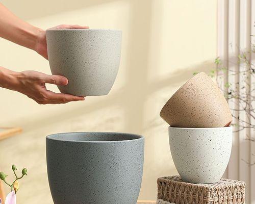 仙人球绿植盆栽发财树的正确养护方法是什么？