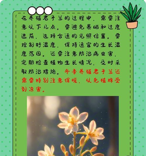 冬天北方君子兰的浇水时间表是什么？