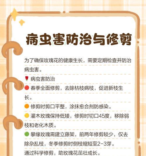 田里野生玫瑰花的养护和管理方法是什么？