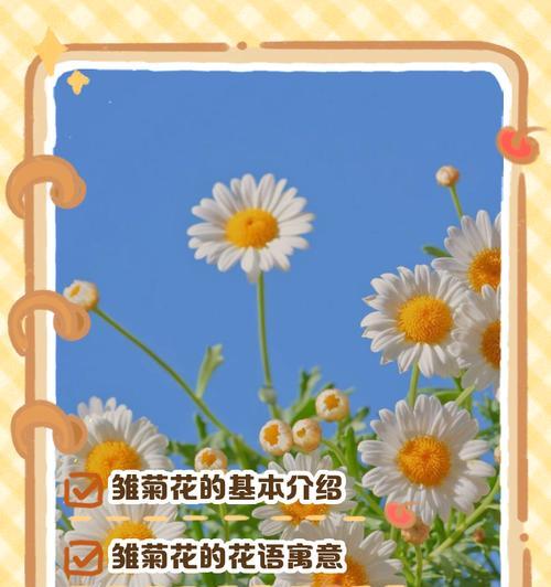 雏菊和红玫瑰搭配的花语是什么？它通常用来表达什么？