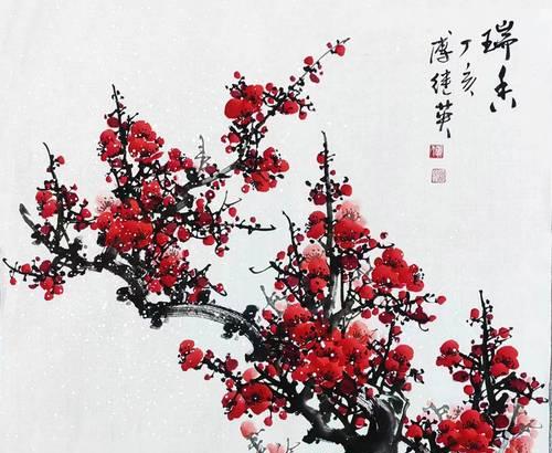 梅花的花语、象征和精神是什么？