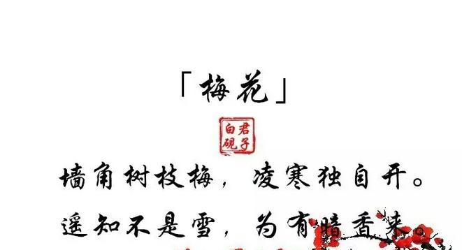 梅花的花语、象征和精神是什么？