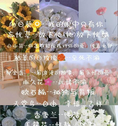 美好花语的花的花语是什么？