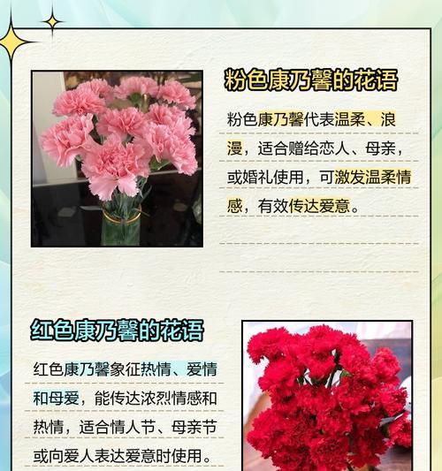 康乃馨花语祝福老师是什么？