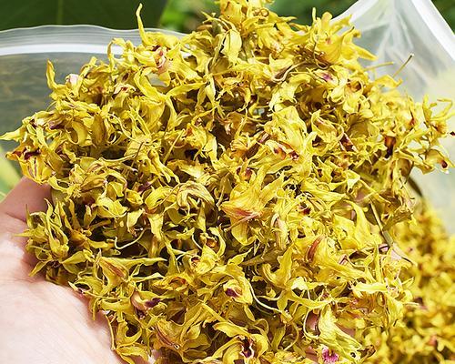 铁皮石斛的花语代表什么含义？
