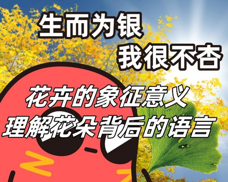 哪种花语寓意学业进步？