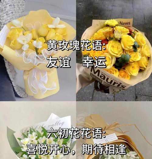 花语大全里有哪些带故事的花语？