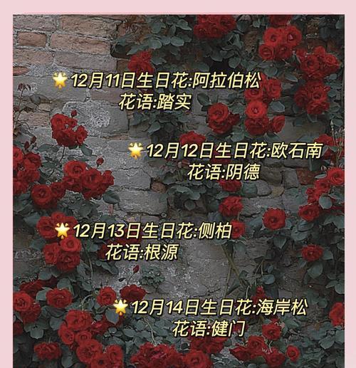 花语大全里有哪些带故事的花语？