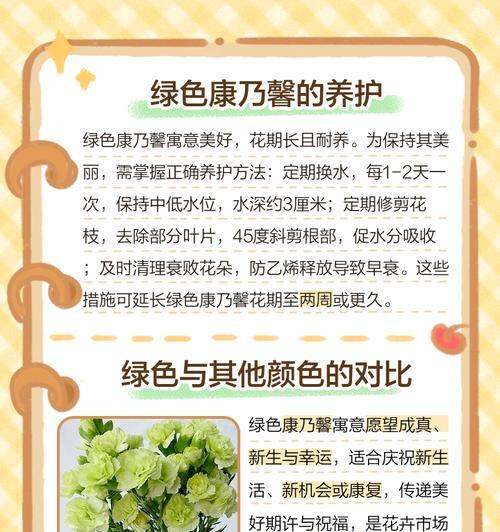 老师收到康乃馨的花语有何特别含义？