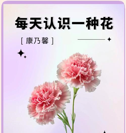 母亲节送康乃馨的花语有何深意？