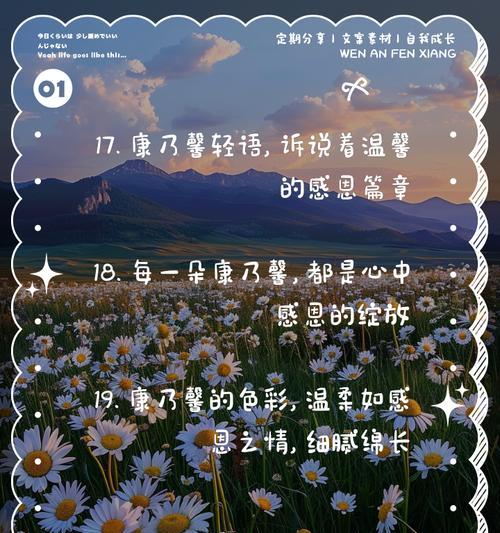 没有回报的爱花语是什么？它传达了怎样的情感？