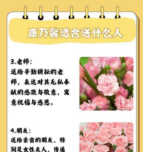 康乃馨花花语及寓意是什么？它传递了哪些情感？