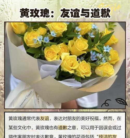 玫瑰不同颜色的花语是什么？玫瑰颜色代表的花语有哪些？