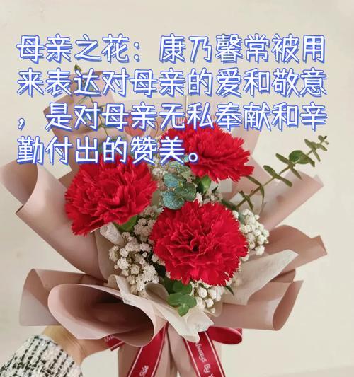 哪些花卉象征爱情？它们的花语是什么？