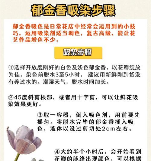 哪些花语具有特殊意义？如何理解这些特殊花语？