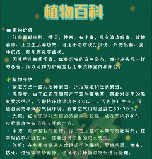 红珊瑚花的养殖方法和注意事项是什么？