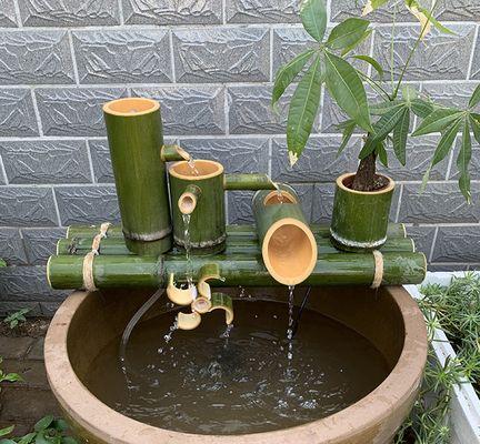 水生竹子品种选择指南？哪种水生竹子最适合家庭水池？
