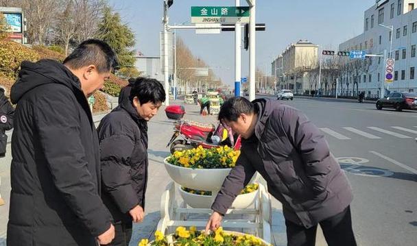 绿化花草品种如何选择？哪些品种最适合城市绿化？