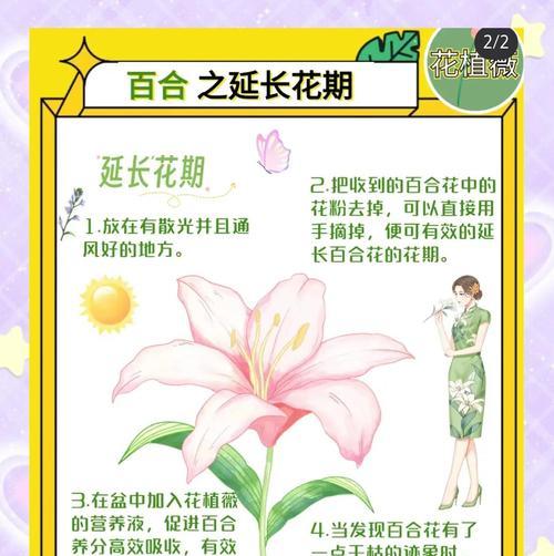 百合花越冬的注意事项有哪些？