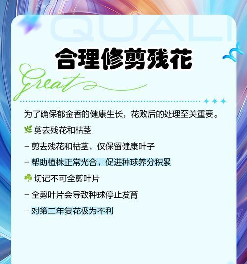 郁金香枯萎了怎么办？如何预防和处理？