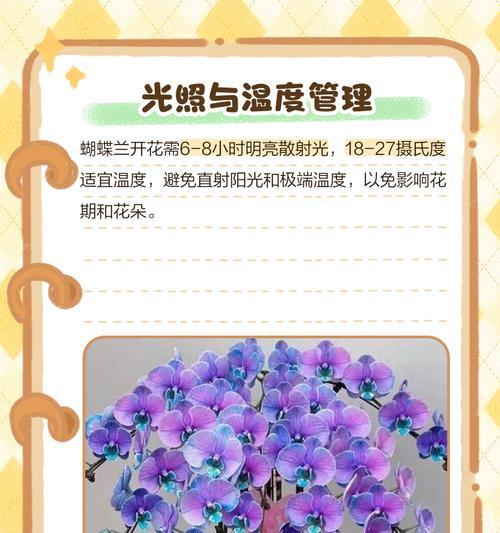 蝴蝶兰不开花怎么办？如何正确养护以促进开花？