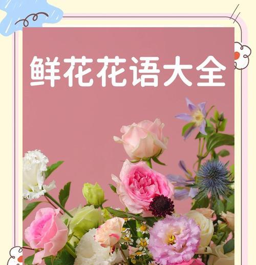 樱水晶增肥的秘诀是什么？