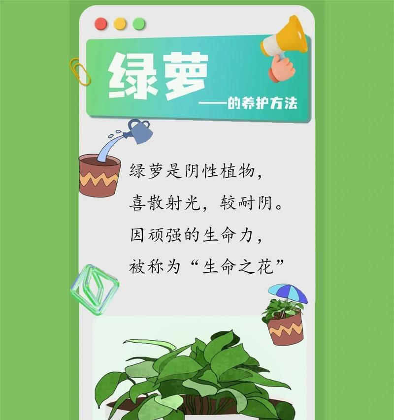 绿萝的正确养殖方法是什么？如何保持其旺盛生长？