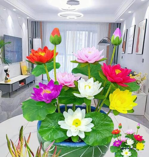 水培花卉有哪些？水培植物的种类和养护方法是什么？