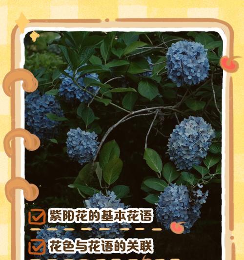 凌波仙子的养护技巧和注意事项是什么？