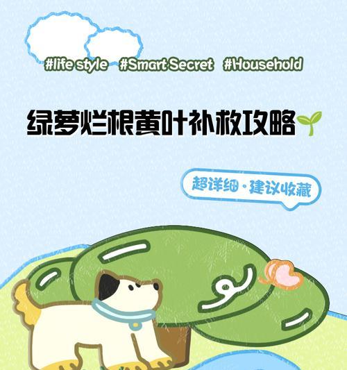 绿萝叶片萎蔫的原因及恢复方法是什么？